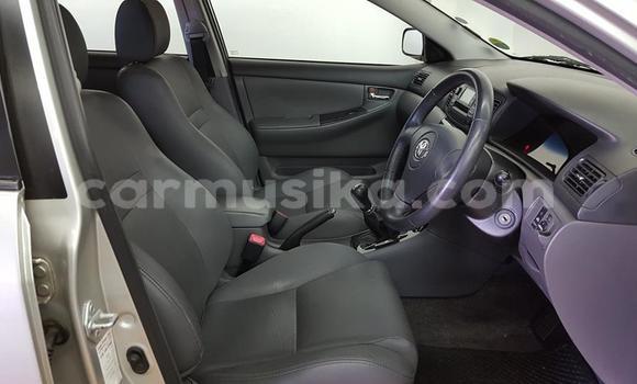 Acheter Occasion Voiture Toyota Corolla Autre à Beitbridge, Matabeleland South Acheter Occasion Voiture Toyota Corolla Autre à Beitbridge, Matabeleland South