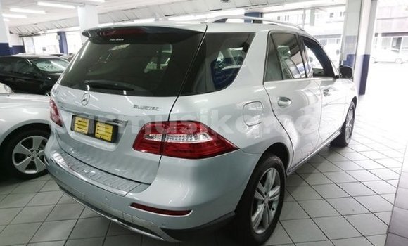 Tenga Tsaru Mercedes‒Benz M–Class Sirivha Mota in Beitbridge in Matabeleland South Tenga Tsaru Mercedes‒Benz M–Class Sirivha Mota in Beitbridge in Matabeleland South