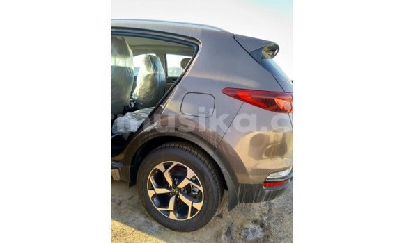Acheter Import Voiture Kia Sportage Marron à Import - Dubai, Harare Acheter Import Voiture Kia Sportage Marron à Import - Dubai, Harare