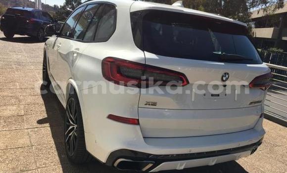 Buy Used BMW X5 White Car in Beitbridge in Matabeleland South Buy Used BMW X5 White Car in Beitbridge in Matabeleland South