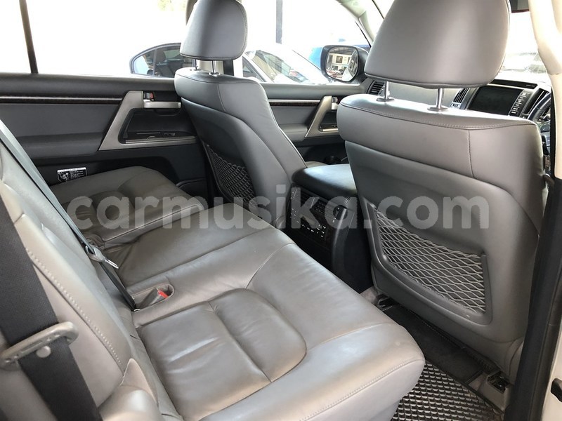 Big with watermark 8