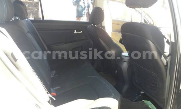 Tenga Tsaru Kia Sportage Nhema Mota in Beitbridge in Matabeleland South Tenga Tsaru Kia Sportage Nhema Mota in Beitbridge in Matabeleland South