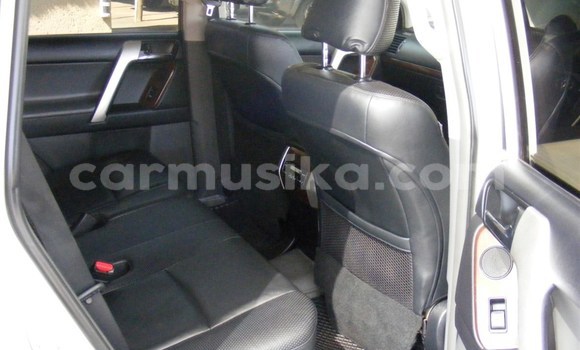 Tenga Tsaru Toyota Land Cruiser Prado Chena Mota in Beitbridge in Matabeleland South Tenga Tsaru Toyota Land Cruiser Prado Chena Mota in Beitbridge in Matabeleland South