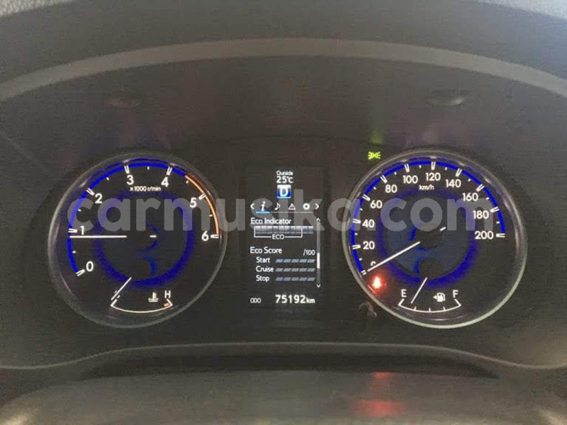 Big with watermark 22