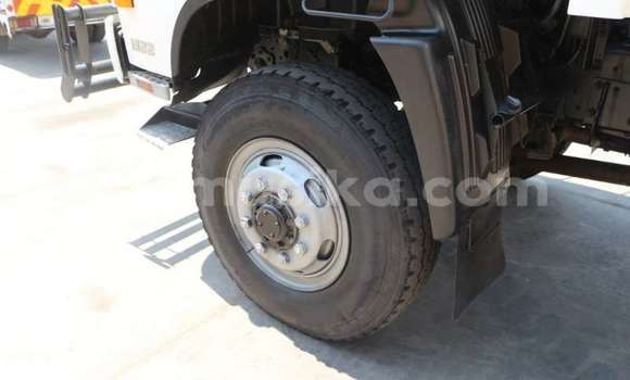 Tenga Tsaru Hino 300 Series Chena Rori in Beitbridge in Matabeleland South Tenga Tsaru Hino 300 Series Chena Rori in Beitbridge in Matabeleland South