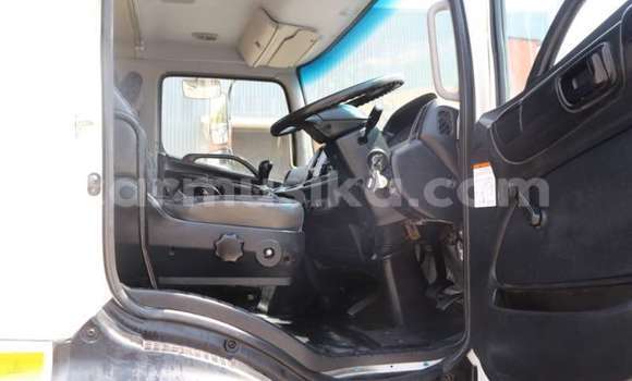 Tenga Tsaru Hino 300 Series Chena Rori in Beitbridge in Matabeleland South Tenga Tsaru Hino 300 Series Chena Rori in Beitbridge in Matabeleland South