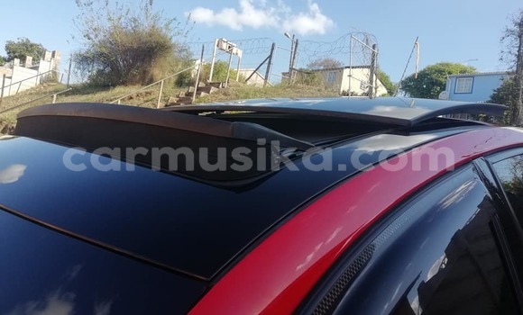 Buy Used Volkswagen Polo Red Car in Beitbridge in Matabeleland South Buy Used Volkswagen Polo Red Car in Beitbridge in Matabeleland South