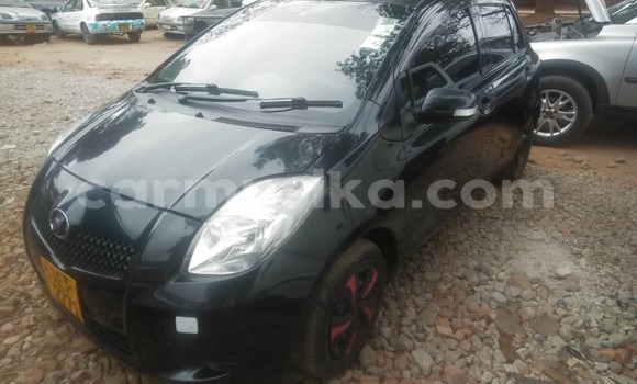 Buy Used Toyota Vitz Black Car in Harare in Harare Buy Used Toyota Vitz Black Car in Harare in Harare