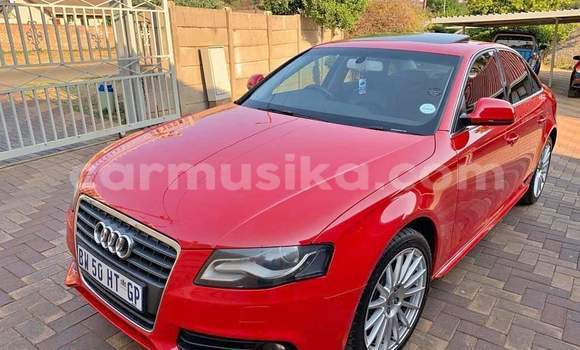 Tenga Tsaru Audi A4 Tsvuku Mota in Beitbridge in Matabeleland South Tenga Tsaru Audi A4 Tsvuku Mota in Beitbridge in Matabeleland South