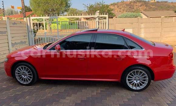 Tenga Tsaru Audi A4 Tsvuku Mota in Beitbridge in Matabeleland South Tenga Tsaru Audi A4 Tsvuku Mota in Beitbridge in Matabeleland South