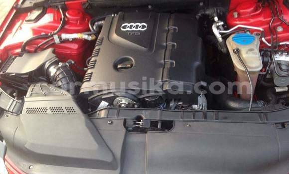 Tenga Tsaru Audi A4 Tsvuku Mota in Beitbridge in Matabeleland South Tenga Tsaru Audi A4 Tsvuku Mota in Beitbridge in Matabeleland South