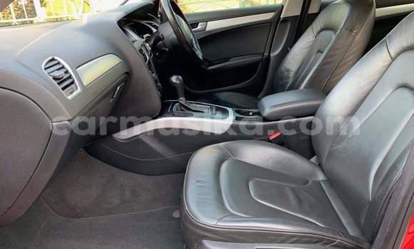 Tenga Tsaru Audi A4 Tsvuku Mota in Beitbridge in Matabeleland South Tenga Tsaru Audi A4 Tsvuku Mota in Beitbridge in Matabeleland South