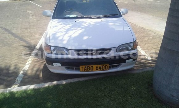 Buy Used Toyota Corolla White Car in Harare in Harare Buy Used Toyota Corolla White Car in Harare in Harare