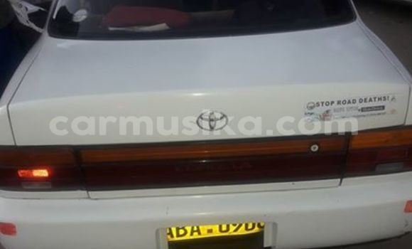 Buy Used Toyota Corolla White Car in Mutare in Manicaland Buy Used Toyota Corolla White Car in Mutare in Manicaland