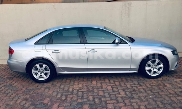 Tenga Tsaru Audi A4 Sirivha Mota in Harare in Harare Tenga Tsaru Audi A4 Sirivha Mota in Harare in Harare