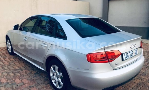 Tenga Tsaru Audi A4 Sirivha Mota in Harare in Harare Tenga Tsaru Audi A4 Sirivha Mota in Harare in Harare