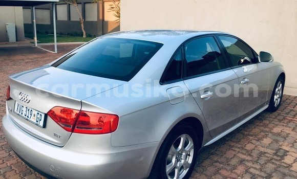 Tenga Tsaru Audi A4 Sirivha Mota in Harare in Harare Tenga Tsaru Audi A4 Sirivha Mota in Harare in Harare