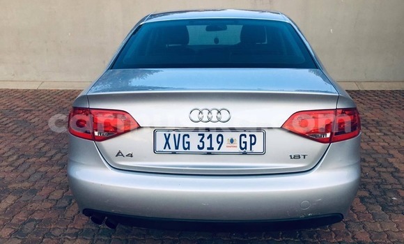 Tenga Tsaru Audi A4 Sirivha Mota in Harare in Harare Tenga Tsaru Audi A4 Sirivha Mota in Harare in Harare