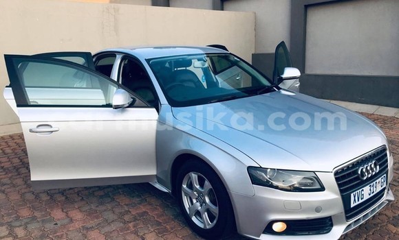 Tenga Tsaru Audi A4 Sirivha Mota in Harare in Harare Tenga Tsaru Audi A4 Sirivha Mota in Harare in Harare