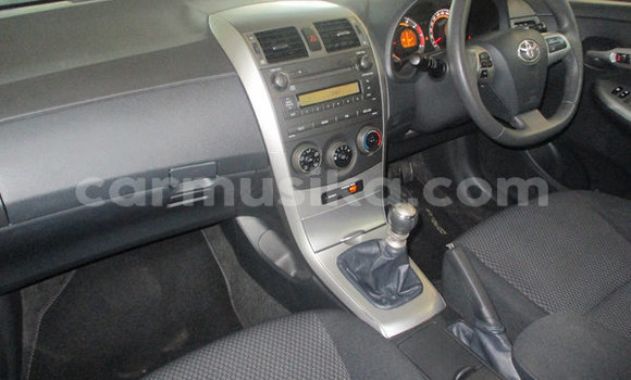 Acheter Occasion Voiture Toyota Corolla Autre à Beitbridge, Matabeleland South Acheter Occasion Voiture Toyota Corolla Autre à Beitbridge, Matabeleland South