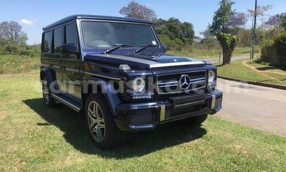 Buy Used Mercedes‒Benz G-klasse AMG Black Car in Harare in Harare Buy Used Mercedes‒Benz G-klasse AMG Black Car in Harare in Harare