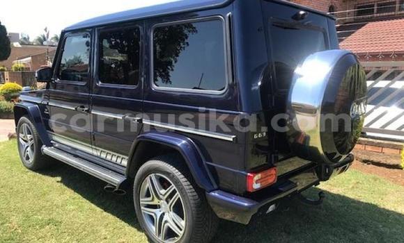Buy Used Mercedes‒Benz G-klasse AMG Black Car in Harare in Harare Buy Used Mercedes‒Benz G-klasse AMG Black Car in Harare in Harare