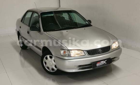 Buy Used Toyota Corolla White Car in Beitbridge in Matabeleland South Buy Used Toyota Corolla White Car in Beitbridge in Matabeleland South