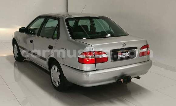 Buy Used Toyota Corolla White Car in Beitbridge in Matabeleland South Buy Used Toyota Corolla White Car in Beitbridge in Matabeleland South