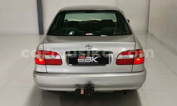 Buy Used Toyota Corolla White Car in Beitbridge in Matabeleland South Buy Used Toyota Corolla White Car in Beitbridge in Matabeleland South