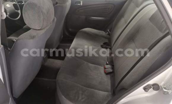 Buy Used Toyota Corolla White Car in Beitbridge in Matabeleland South Buy Used Toyota Corolla White Car in Beitbridge in Matabeleland South