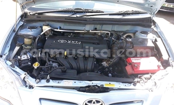 Tenga Tsaru Toyota Runx Zvimwe Mota in Beitbridge in Matabeleland South Tenga Tsaru Toyota Runx Zvimwe Mota in Beitbridge in Matabeleland South