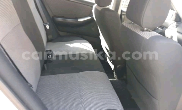 Tenga Tsaru Toyota Runx Zvimwe Mota in Beitbridge in Matabeleland South Tenga Tsaru Toyota Runx Zvimwe Mota in Beitbridge in Matabeleland South