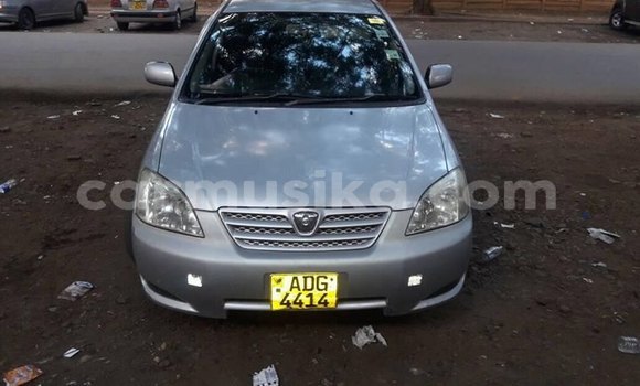 Buy Used Toyota Allex Silver Car in Harare in Harare Buy Used Toyota Allex Silver Car in Harare in Harare