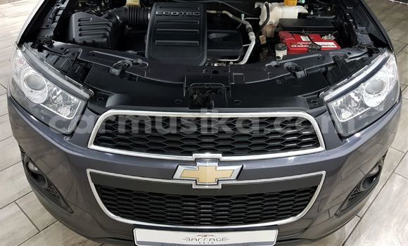 Buy Used Chevrolet Captiva Other Car in Beitbridge in Matabeleland South Buy Used Chevrolet Captiva Other Car in Beitbridge in Matabeleland South