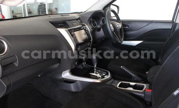 Buy Used Nissan Navara Other Car in Beitbridge in Matabeleland South Buy Used Nissan Navara Other Car in Beitbridge in Matabeleland South