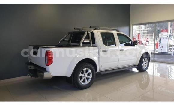 Buy Used Nissan Navara Other Car in Beitbridge in Matabeleland South Buy Used Nissan Navara Other Car in Beitbridge in Matabeleland South