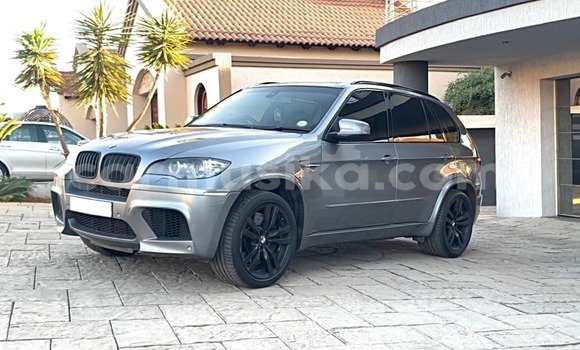 Tenga Tsaru BMW X5 M Sirivha Mota in Harare in Harare Tenga Tsaru BMW X5 M Sirivha Mota in Harare in Harare