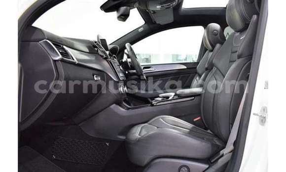 Buy Used Mercedes‒Benz GLS-klasse Other Car in Beitbridge in Matabeleland South Buy Used Mercedes‒Benz GLS-klasse Other Car in Beitbridge in Matabeleland South