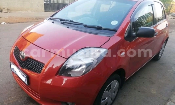 Tenga Tsaru Toyota Yaris Tsvuku Mota in Beitbridge in Matabeleland South Tenga Tsaru Toyota Yaris Tsvuku Mota in Beitbridge in Matabeleland South