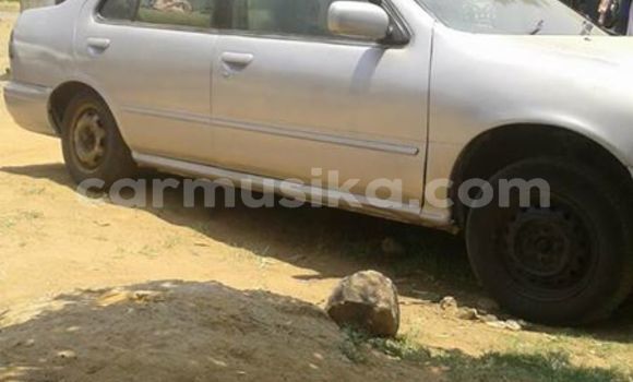 Tenga Tsaru Nissan Sunny Sirivha Mota in Harare in Harare Tenga Tsaru Nissan Sunny Sirivha Mota in Harare in Harare