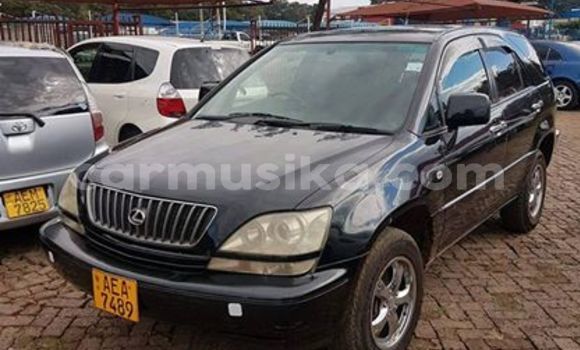 Tenga Tsaru Toyota Harrier Nhema Mota in Harare in Harare Tenga Tsaru Toyota Harrier Nhema Mota in Harare in Harare