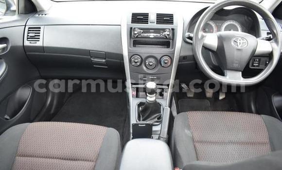 Acheter Occasion Voiture Toyota Corolla Blanc à Beitbridge, Matabeleland South Acheter Occasion Voiture Toyota Corolla Blanc à Beitbridge, Matabeleland South