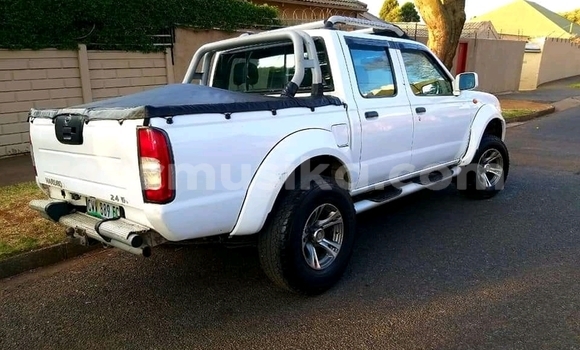 Tenga Tsaru Nissan NP 300 Chena Mota in Beitbridge in Matabeleland South Tenga Tsaru Nissan NP 300 Chena Mota in Beitbridge in Matabeleland South