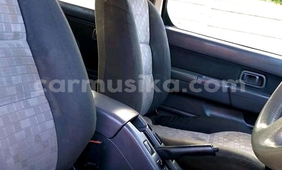 Tenga Tsaru Nissan NP 300 Chena Mota in Beitbridge in Matabeleland South Tenga Tsaru Nissan NP 300 Chena Mota in Beitbridge in Matabeleland South