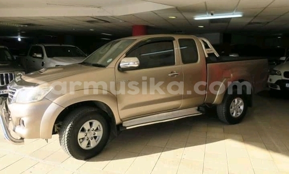 Tenga Tsaru Toyota Hilux Zvimwe Mota in Beitbridge in Matabeleland South Tenga Tsaru Toyota Hilux Zvimwe Mota in Beitbridge in Matabeleland South