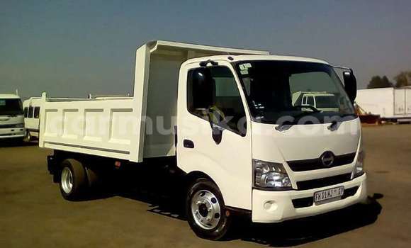 Tenga Tsaru Hino 300 Chena Rori in Beitbridge in Matabeleland South Tenga Tsaru Hino 300 Chena Rori in Beitbridge in Matabeleland South