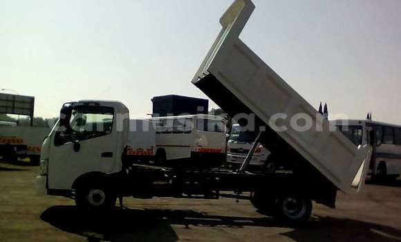 Tenga Tsaru Hino 300 Chena Rori in Beitbridge in Matabeleland South Tenga Tsaru Hino 300 Chena Rori in Beitbridge in Matabeleland South