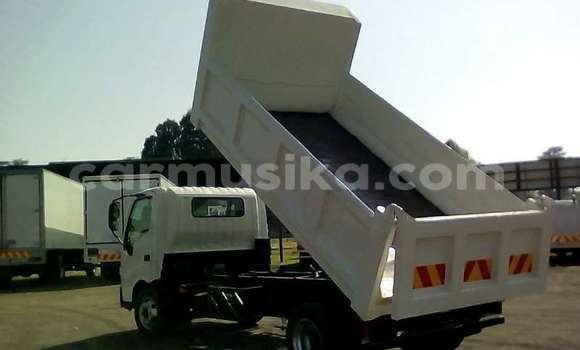 Tenga Tsaru Hino 300 Chena Rori in Beitbridge in Matabeleland South Tenga Tsaru Hino 300 Chena Rori in Beitbridge in Matabeleland South