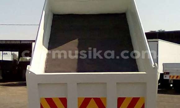 Tenga Tsaru Hino 300 Chena Rori in Beitbridge in Matabeleland South Tenga Tsaru Hino 300 Chena Rori in Beitbridge in Matabeleland South