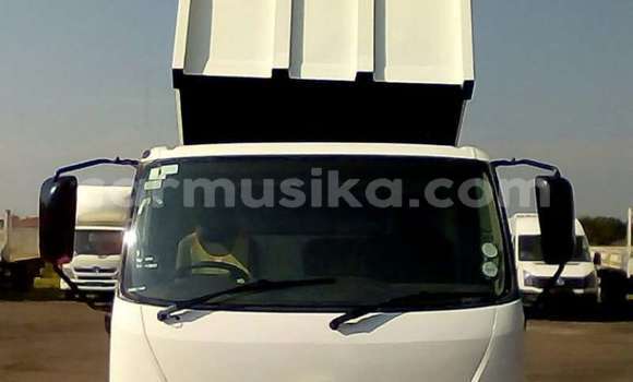 Tenga Tsaru Hino 300 Chena Rori in Beitbridge in Matabeleland South Tenga Tsaru Hino 300 Chena Rori in Beitbridge in Matabeleland South